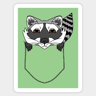 Cute Raccoon in the Pocket Sticker